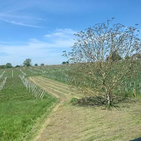 Apartamento Maison Divon Montagne (Gironde)