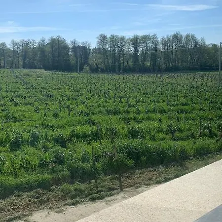 Maison Divon *