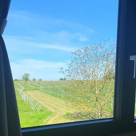 Maison Divon Апартаменты *