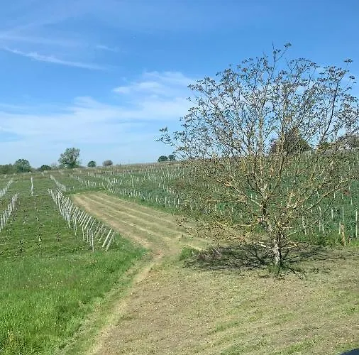 דירה Maison Divon מונטן