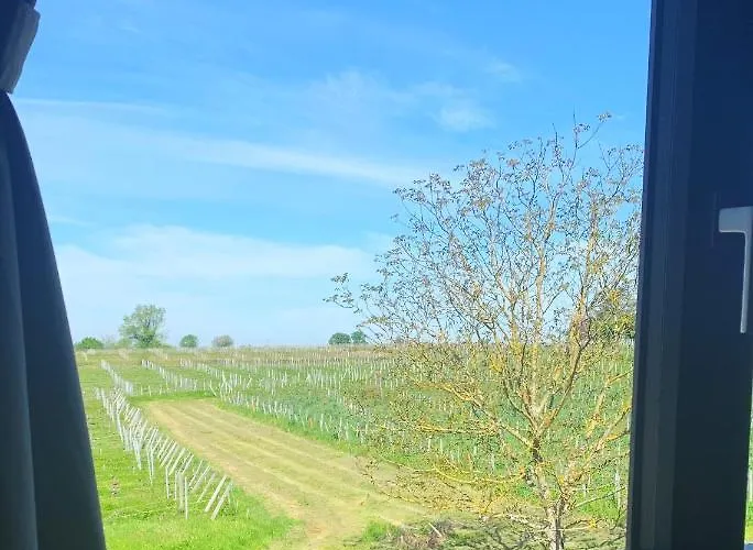 Maison Divon Διαμέρισμα *